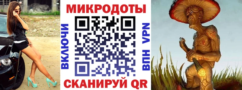 Галлюциногенные грибы Psilocybine cubensis  Краснообск 