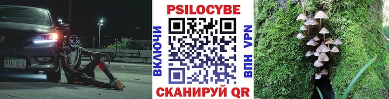 Галлюциногенные грибы Magic Shrooms Краснообск