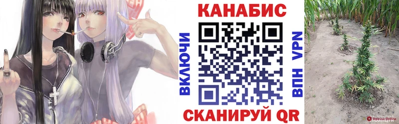Конопля SATIVA & INDICA  Краснообск 